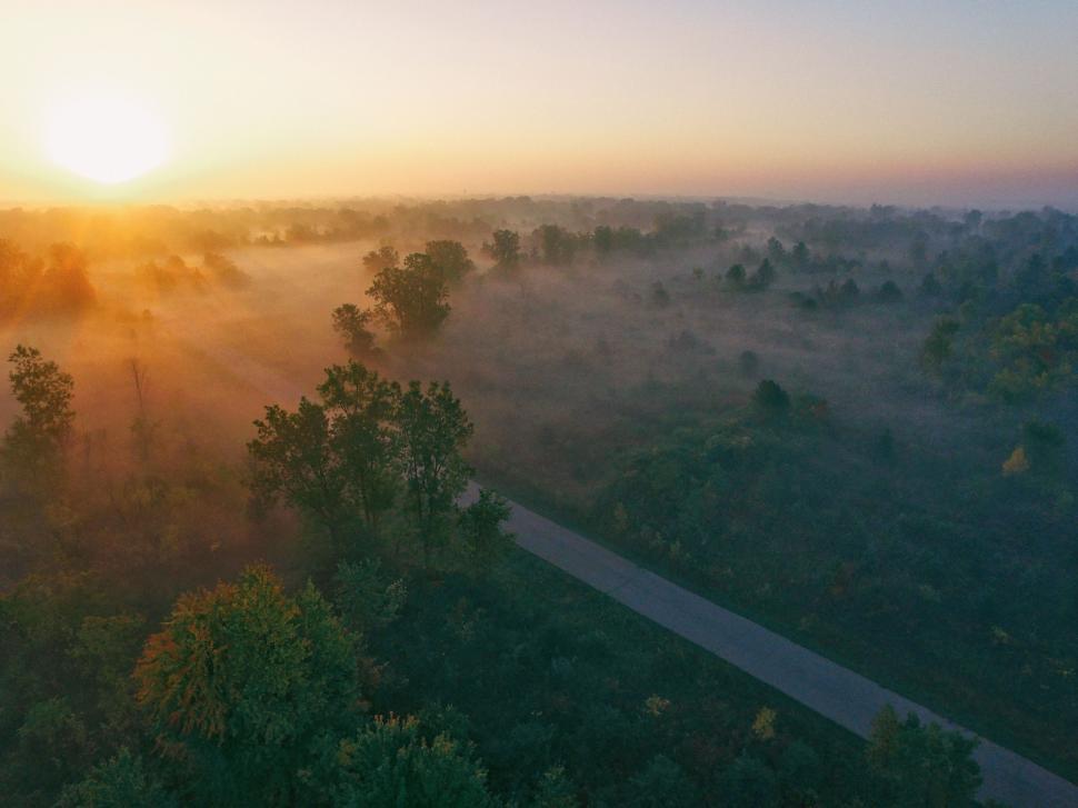 Free Image of Sun Setting Over Foggy Field 