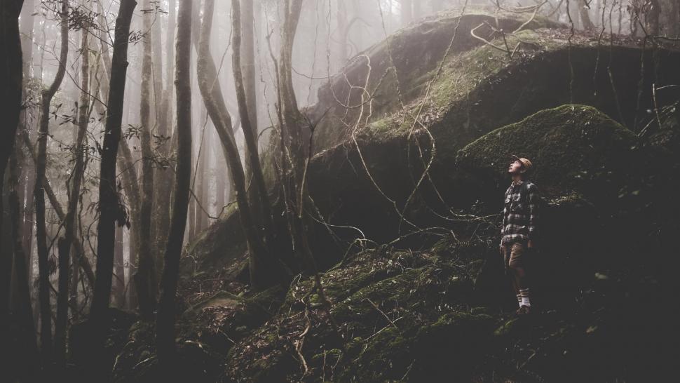 Free Image of Person Walking in the Woods 