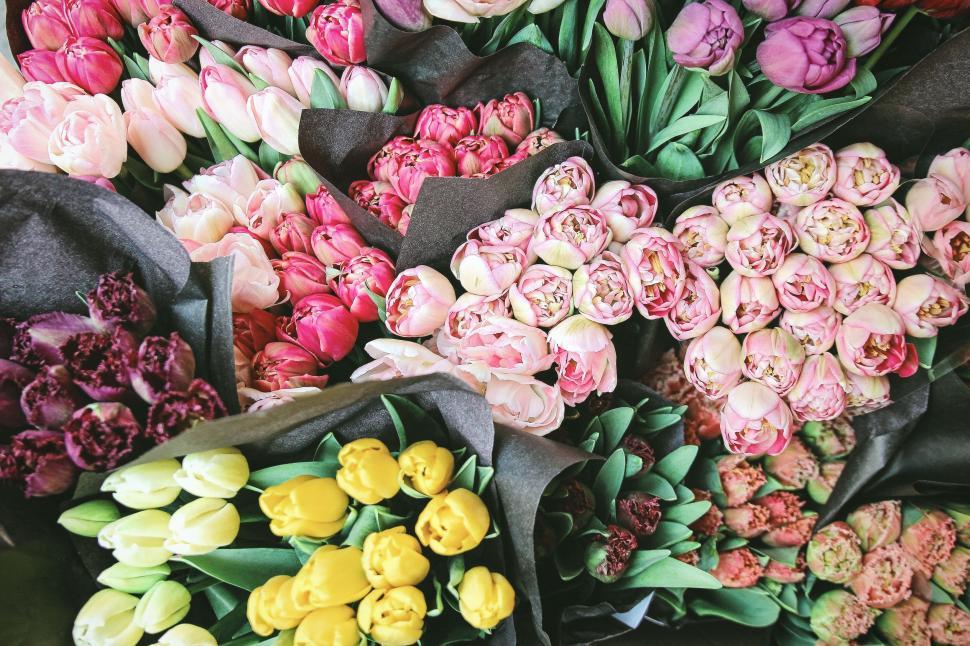 Free Image of A Bunch of Flowers on a Table 