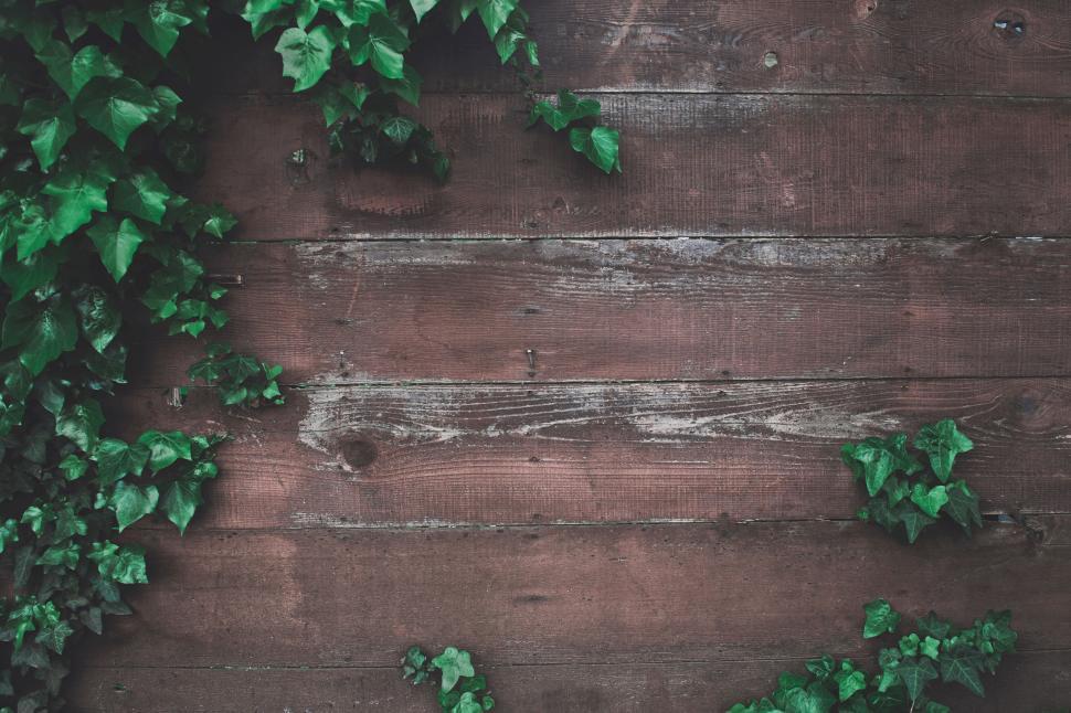 Free Image of Wooden Table Covered With Green Leaves 