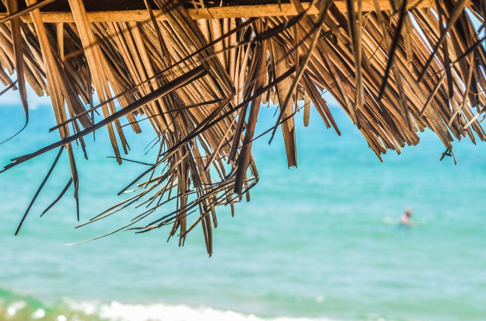 Free Image of Ocean View From Under a Straw Hut 