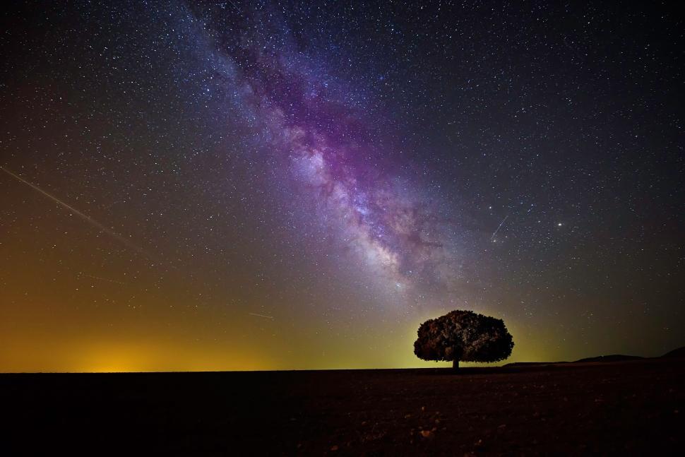 Free Image of Lone Tree in Field Under Starry Night Sky 