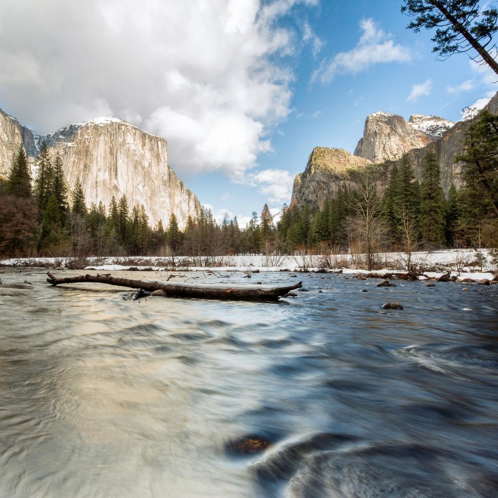 Free Image of Snow-Covered Forest With River Flowing 