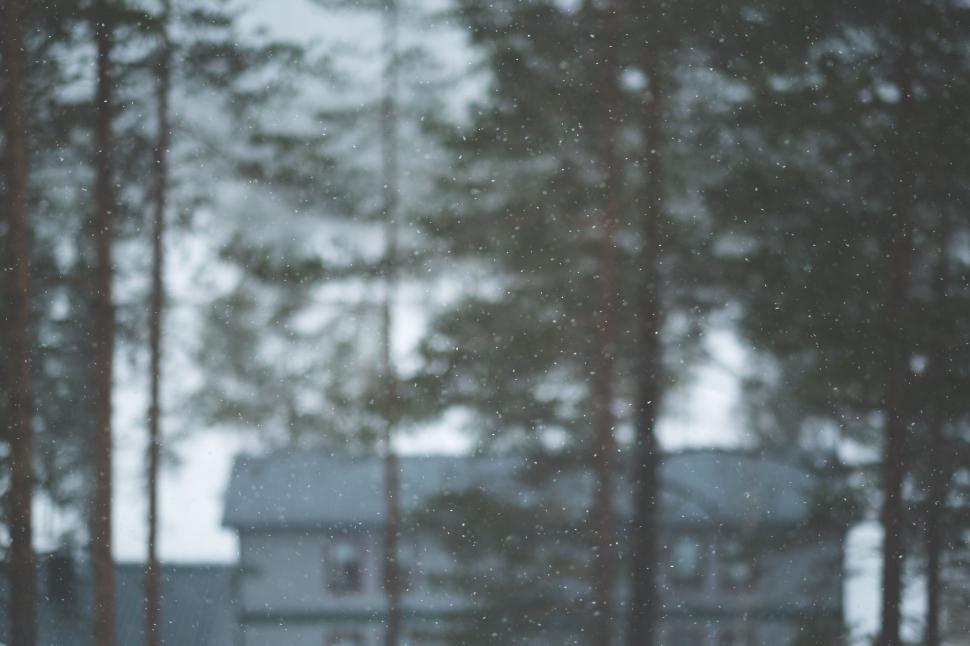 Free Image of Blurry House in the Woods 