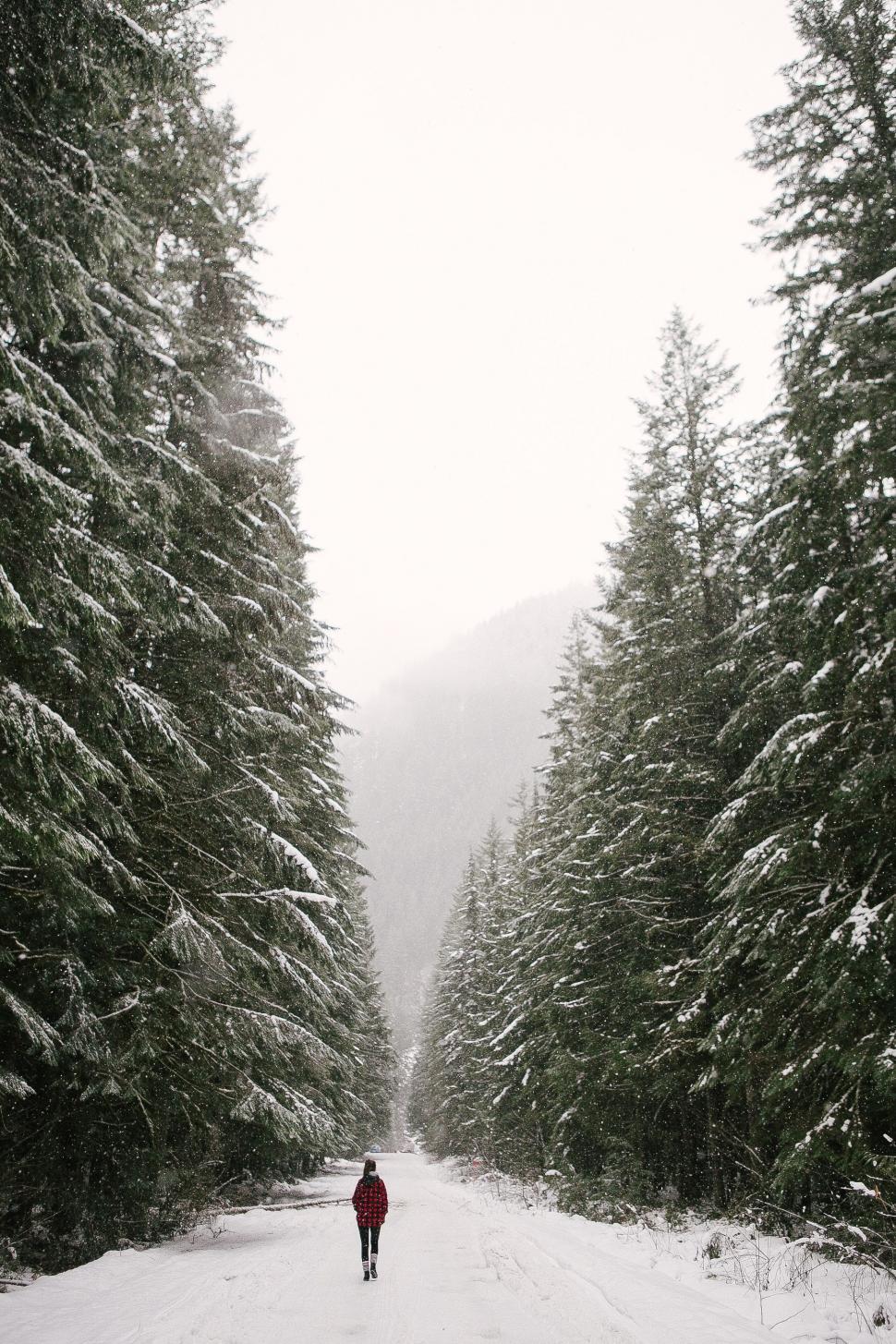 Free Image of Person Walking Down Snow Covered Road 