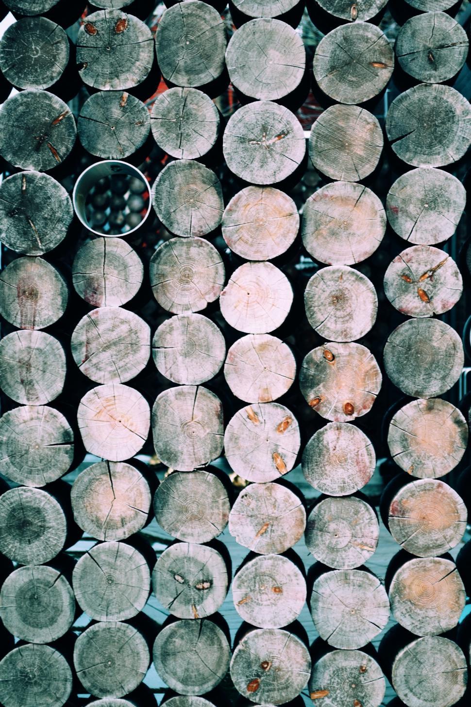 Free Image of Stack of Wood Logs in Forest 