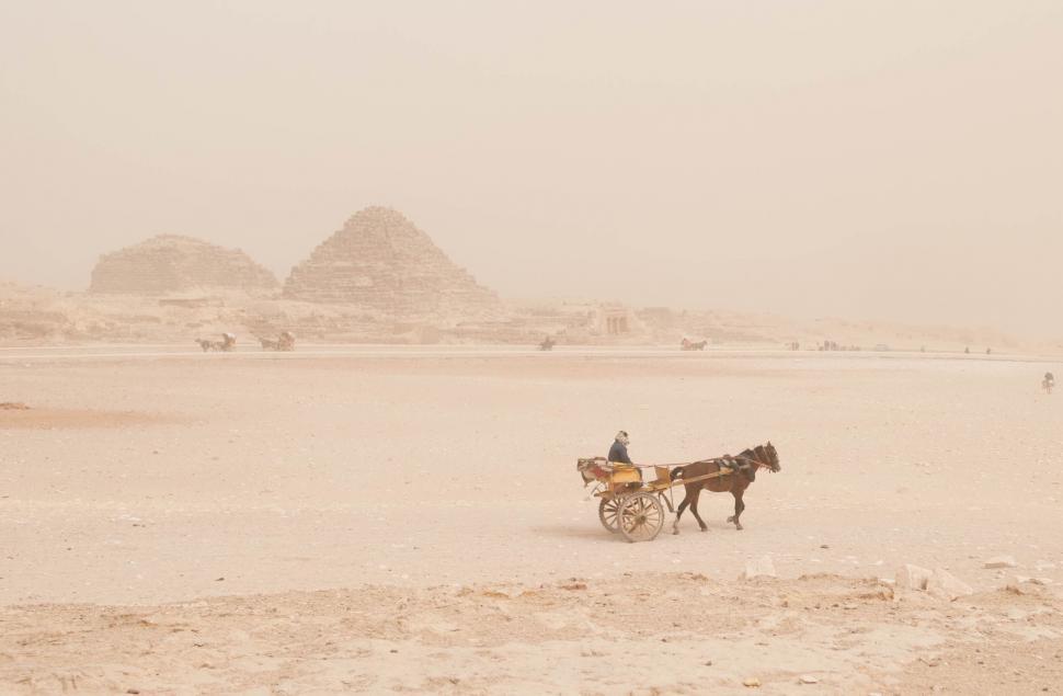 Free Image of Horse Drawn Carriage on Sandy Beach 
