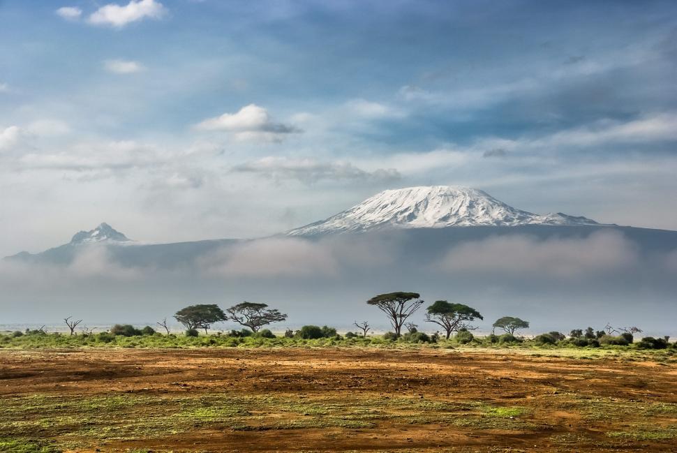 Free Image of Snowy Mountain and Trees Landscape 