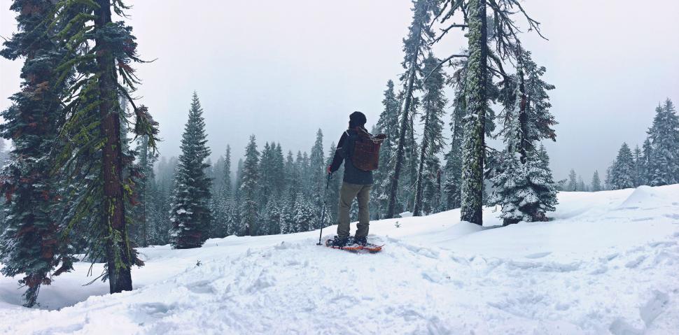 Free Image of Man Skiing Down Snow Covered Slope 