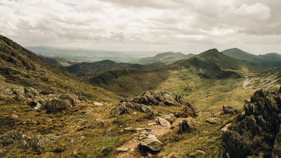 Free Image of Man Standing on Top of Lush Green Hillside 