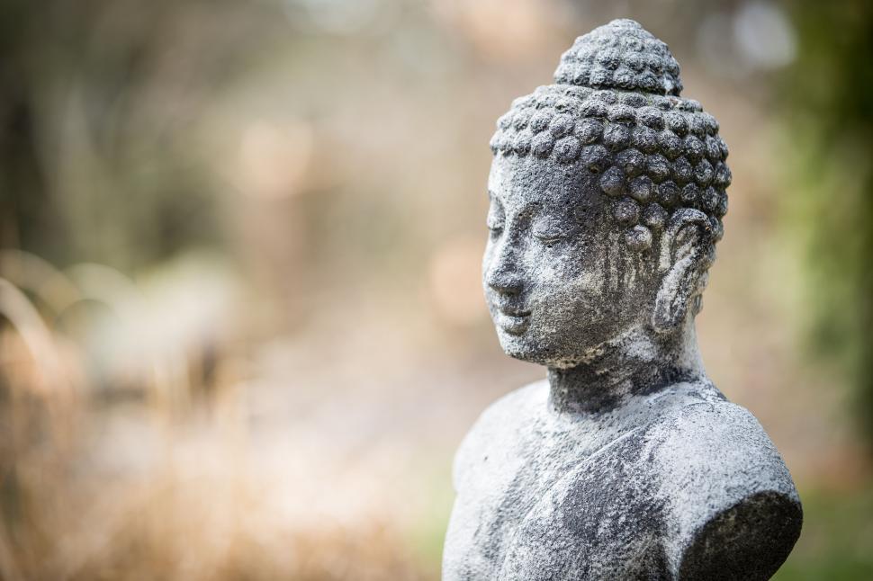 Free Image of Statue of Buddha in a Park 