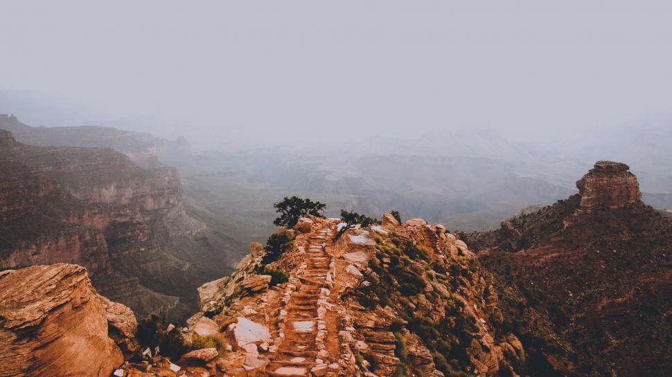 Free Image of Rocky Mountain With Trees 