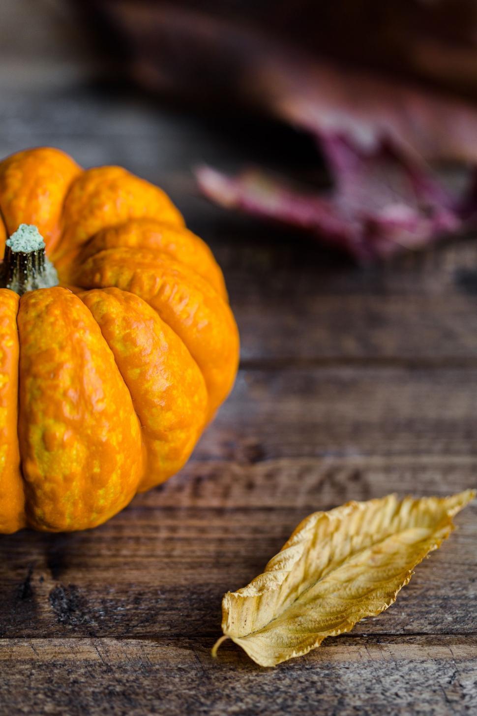 Free Image of Small Pumpkin on Wooden Table 