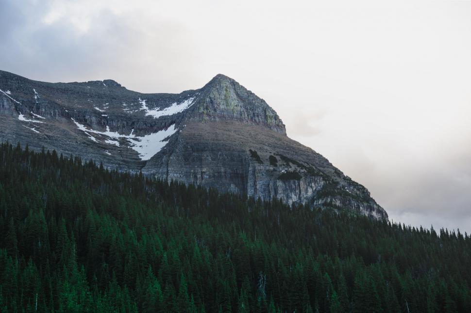 Free Image of Snow Covered Mountain and Forest 