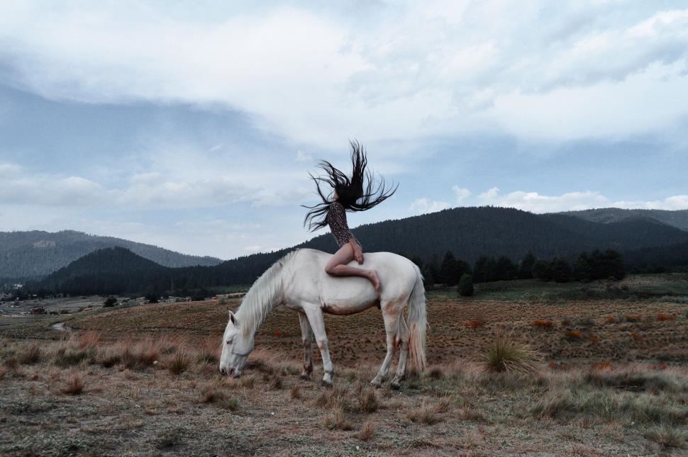Free Image of White Horse With Long Mane Standing in Field 