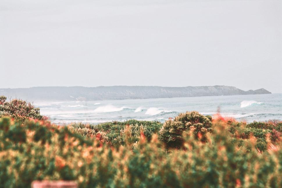 Free Image of Ocean View From Grassy Area 