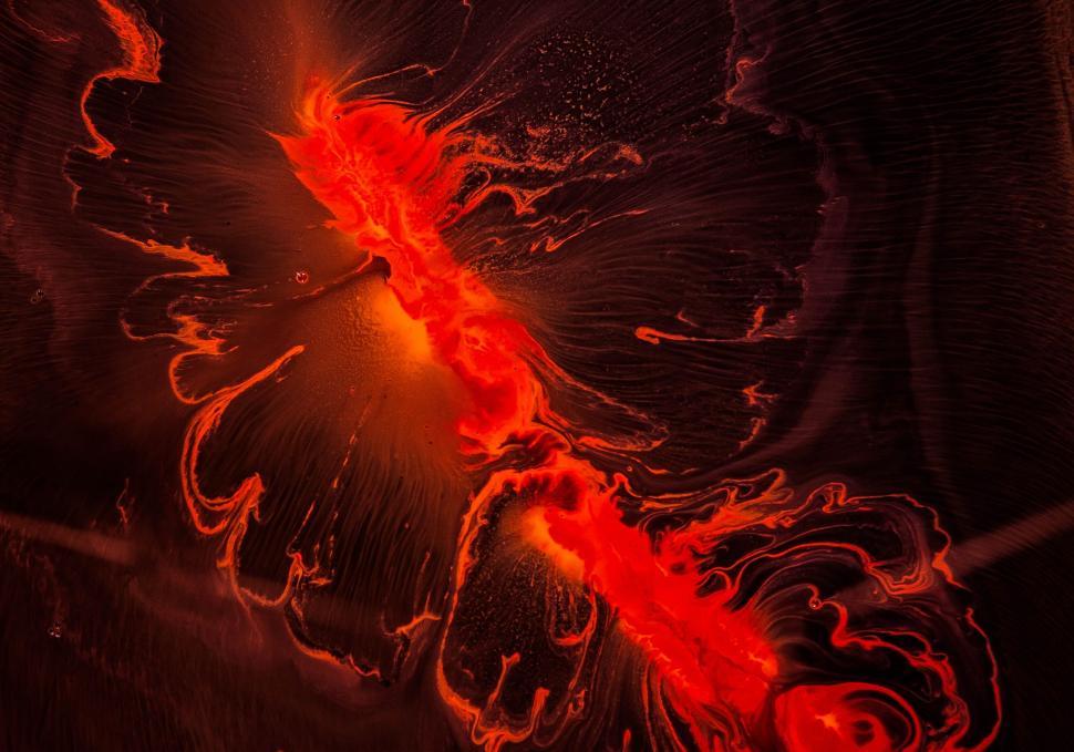 Free Image of Close Up of a Red Flower on a Black Background 