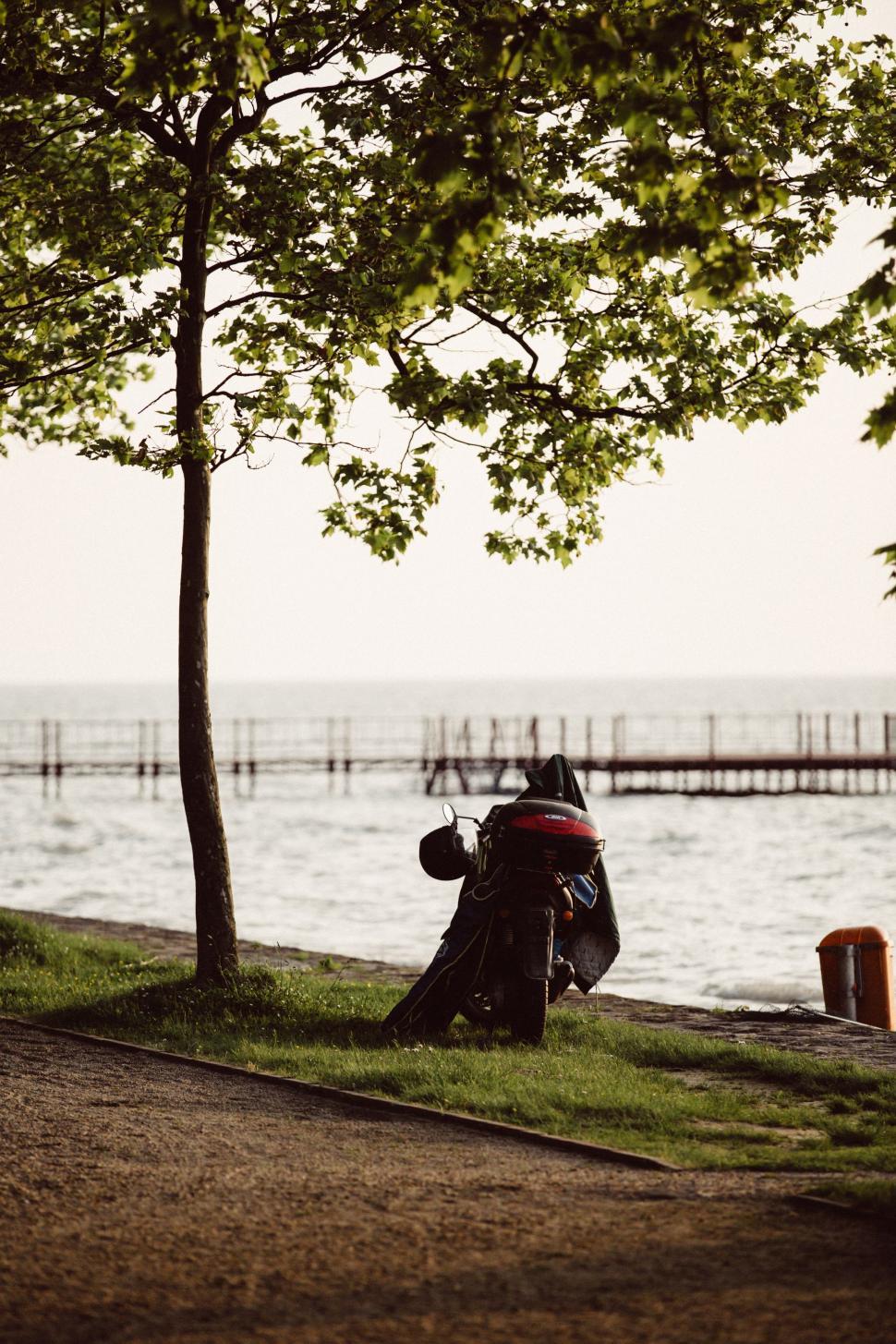 Free Image of Man Sitting Under Tree by Water 