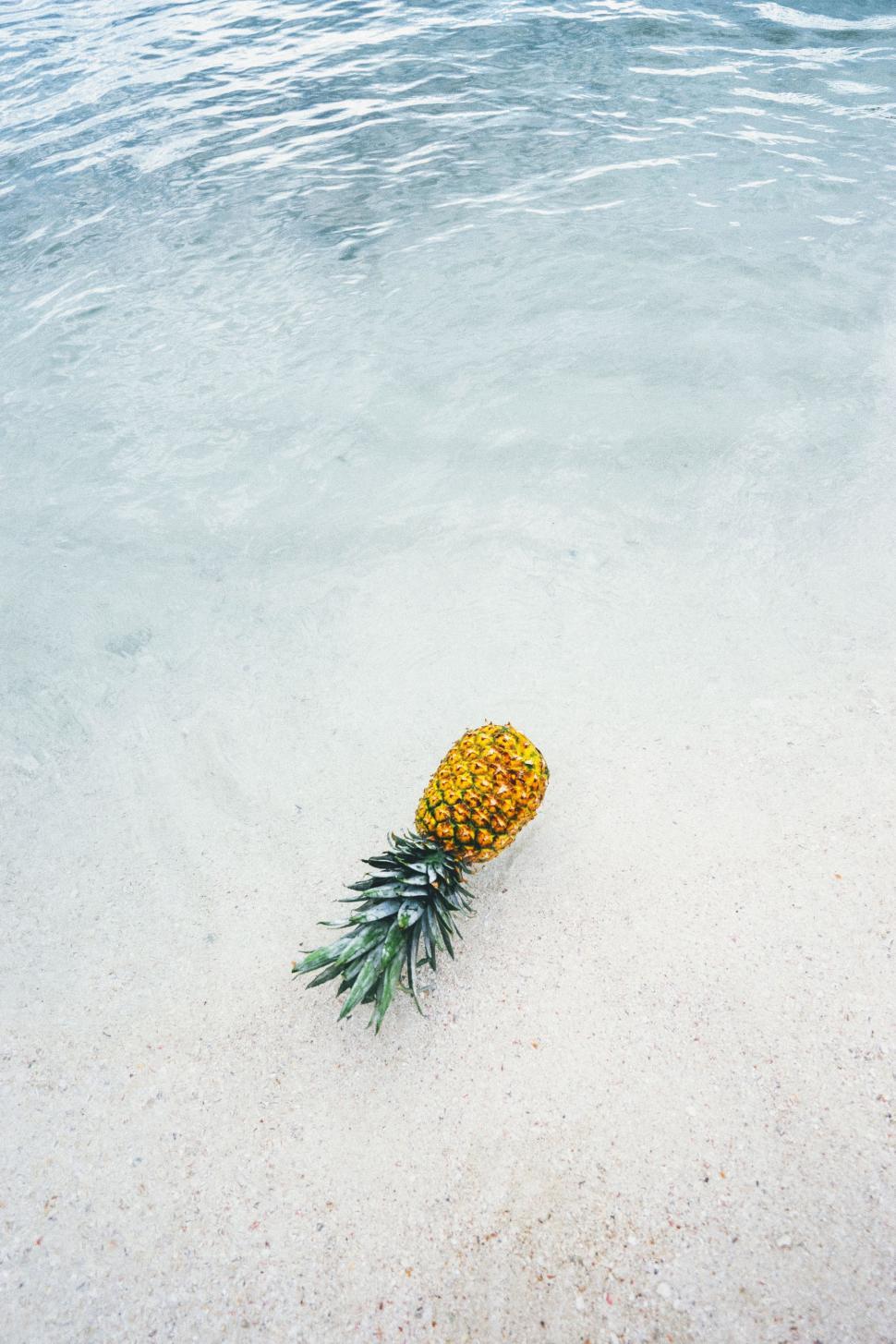 Free Image of Pineapple on Sandy Beach 