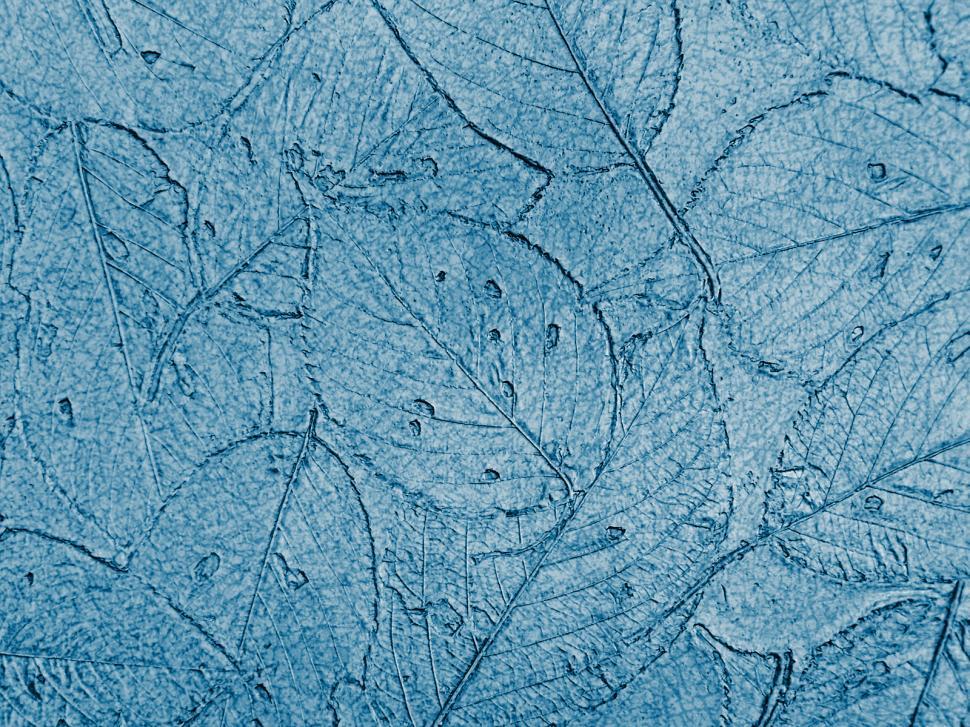 Free Image of Wall leaf texture 