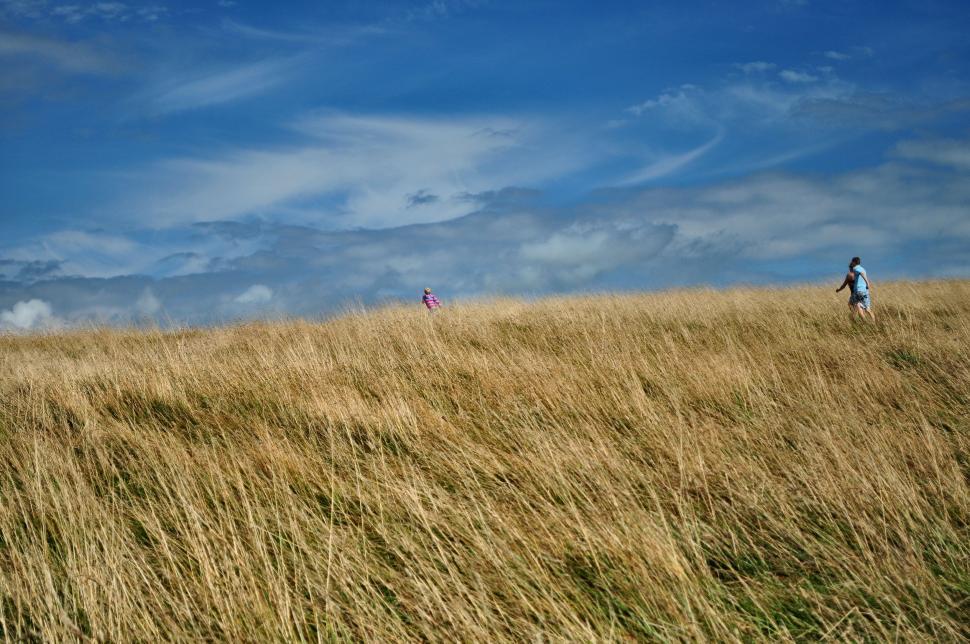 Free Image of Two People Walking Through a Field of Tall Grass 