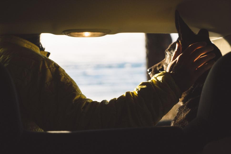 Free Image of Man Sitting in Car With Head Out the Window 
