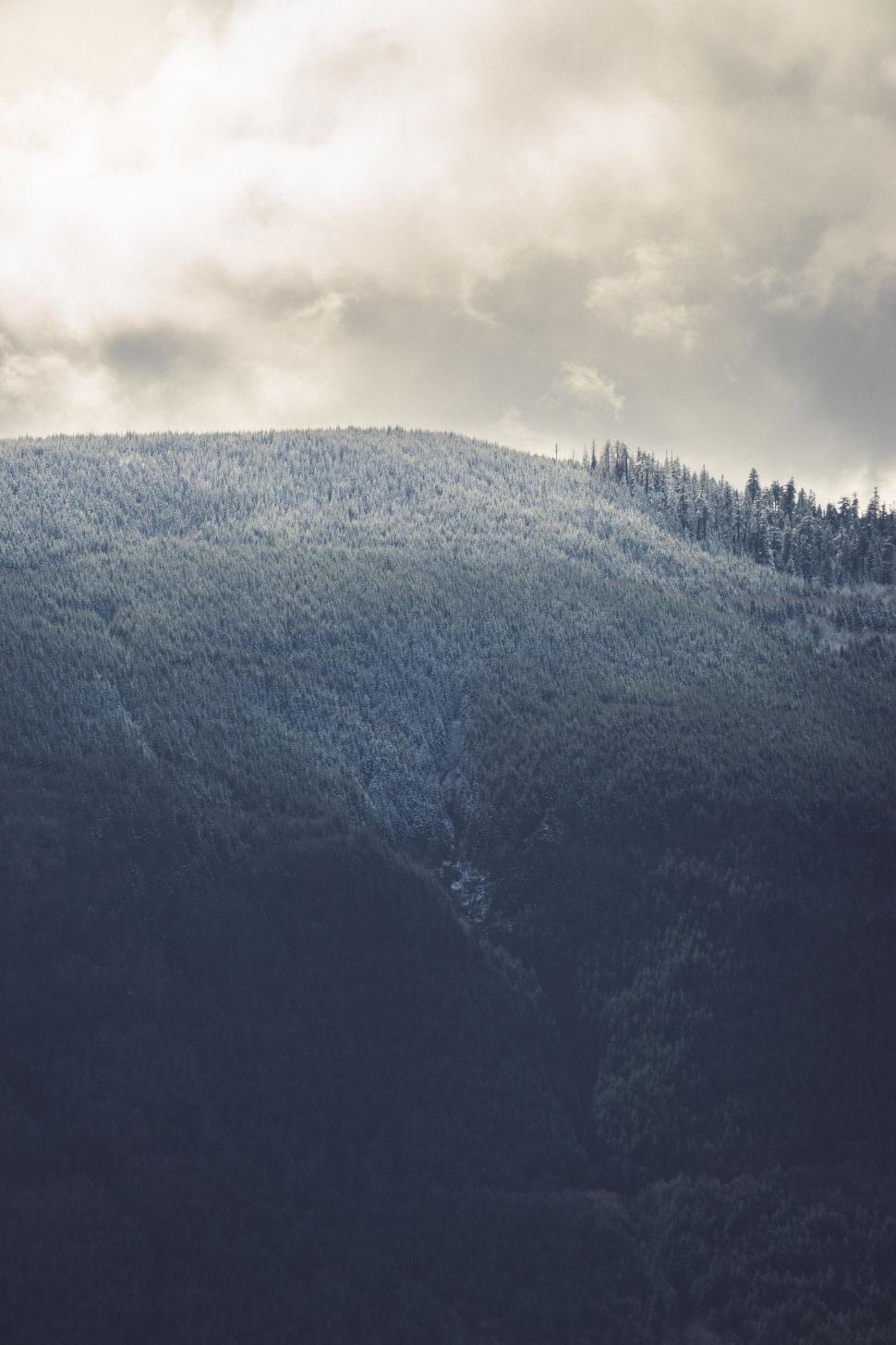 Free Image of Mountain Covered in Trees Under Cloudy Sky 