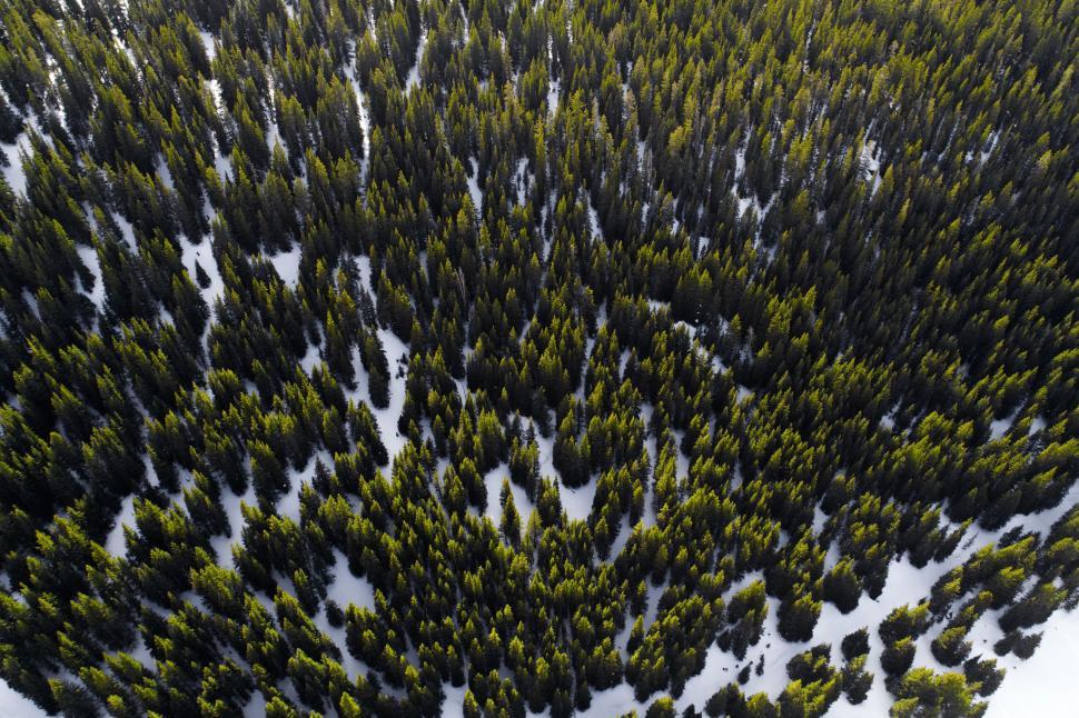 Free Image of Aerial View of Snow Covered Forest 