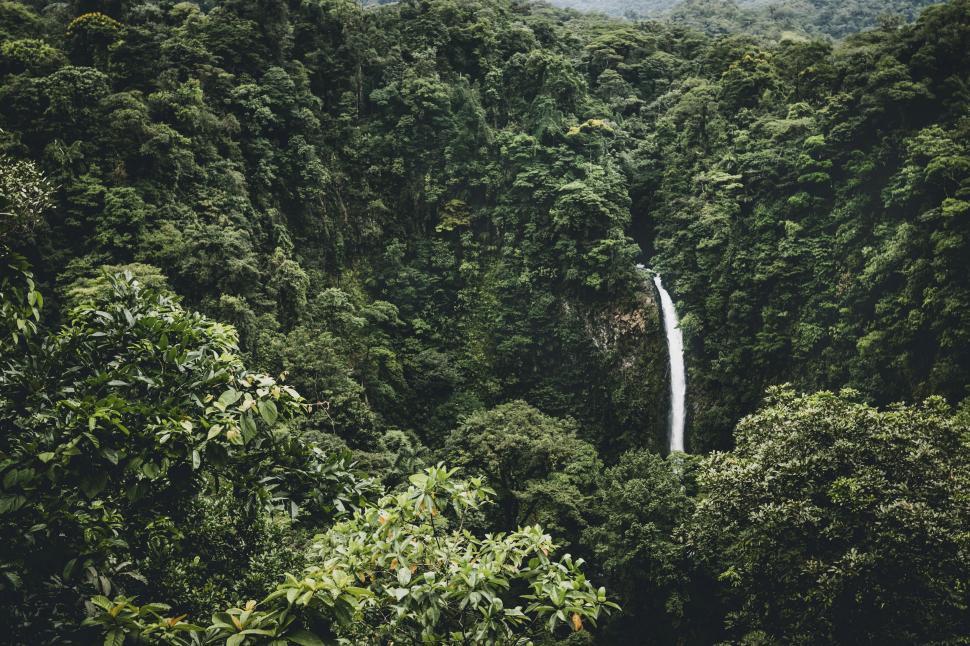 Free Image of Majestic Waterfall in Forest 