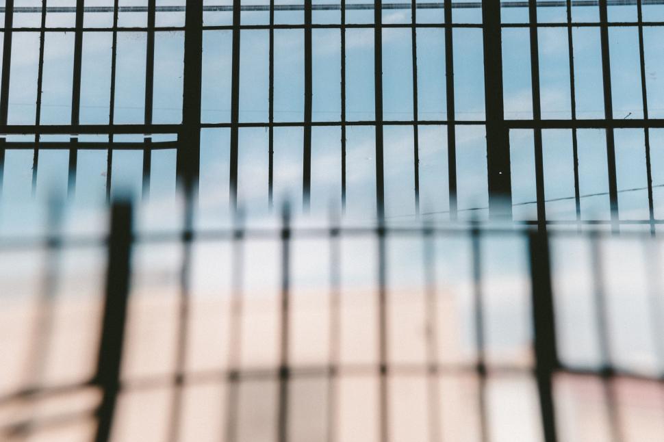 Free Image of Bird Perched on Wooden Bench 