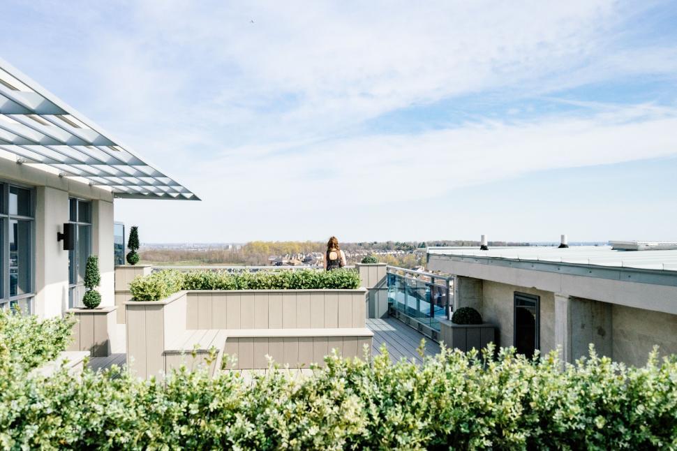 Free Image of Balcony With Potted Plant on Roof 