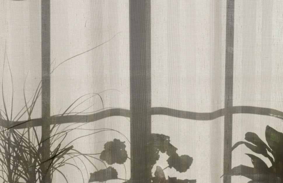 Free Image of Vase of Flowers on Table 