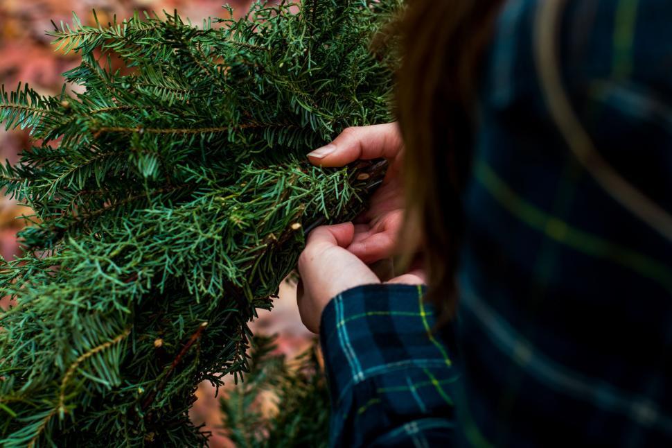 Free Image of Woman Holding Plant in Hands 