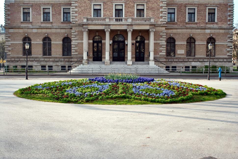 Free Image of Flowers 