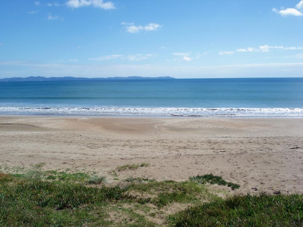 Free Image of Seashore in New Zealand 