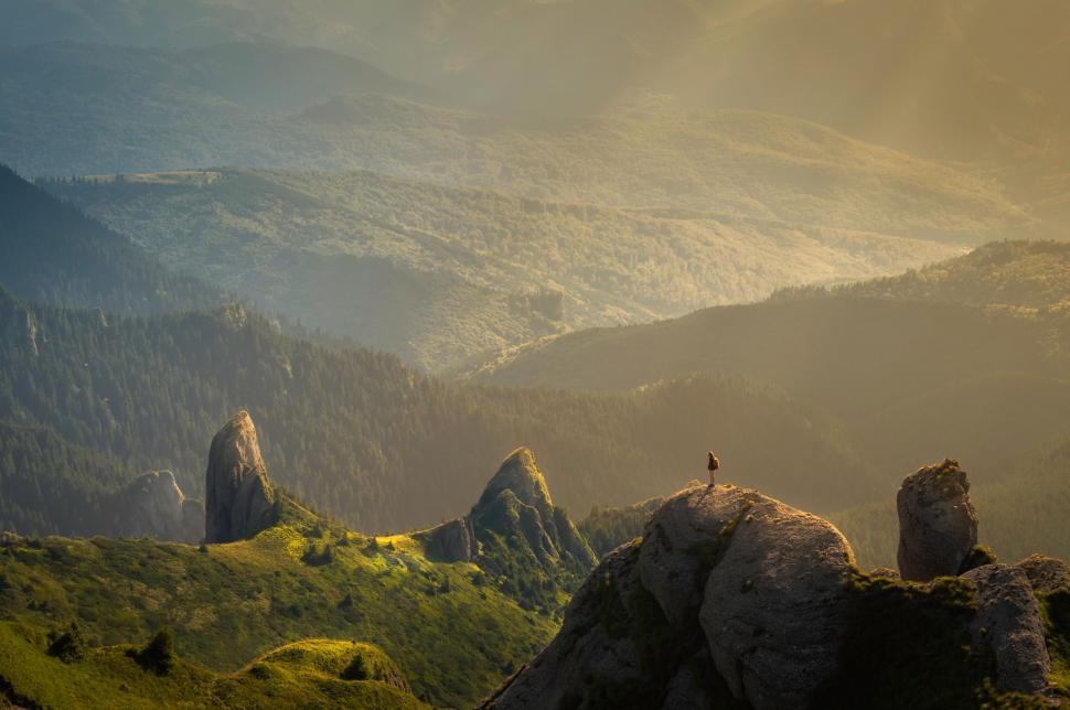 Free Image of Person Standing on Top of Lush Green Hillside 