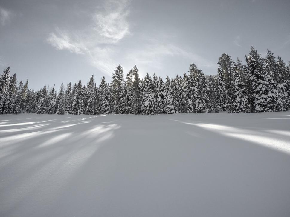 Free Image of Snow Covered Field in Black and White 