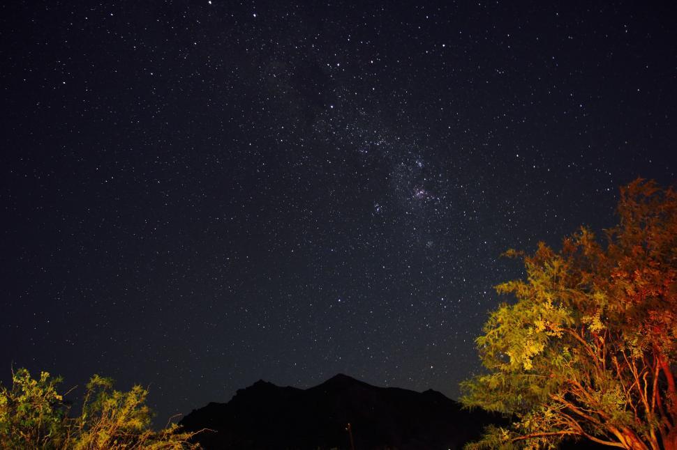 Free Image of Starry Night Sky With Trees in Foreground 