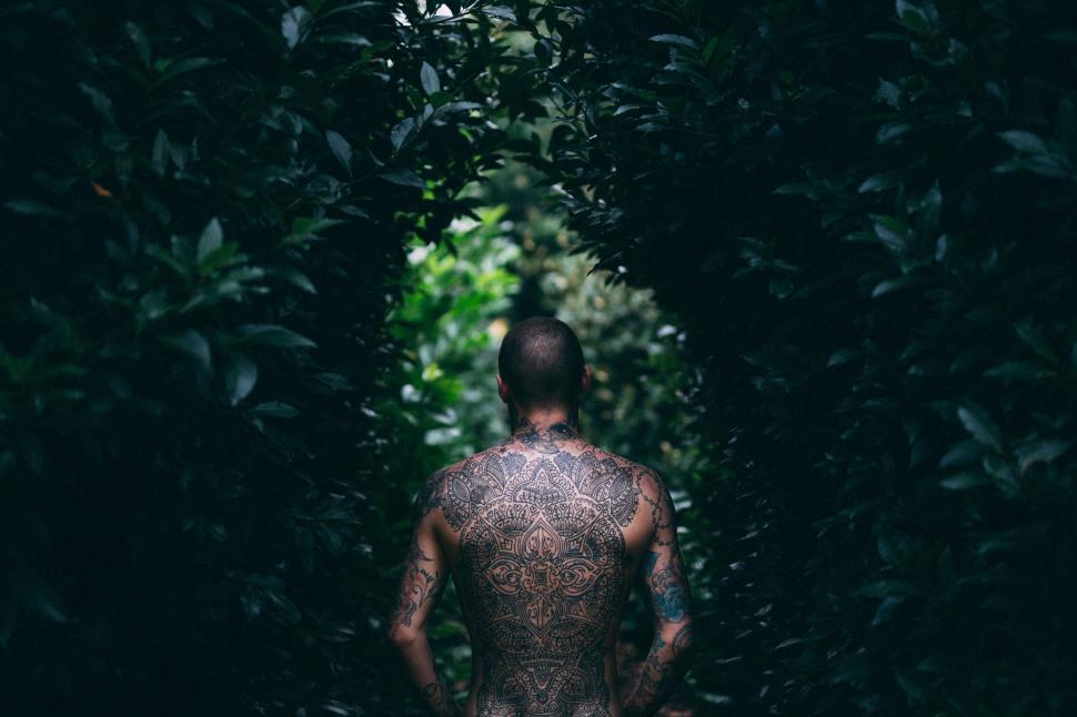 Free Image of Man Standing in Middle of Forest 