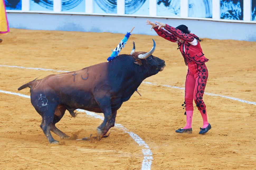 Free Image of Woman in Red Outfit Standing Next to Bull 