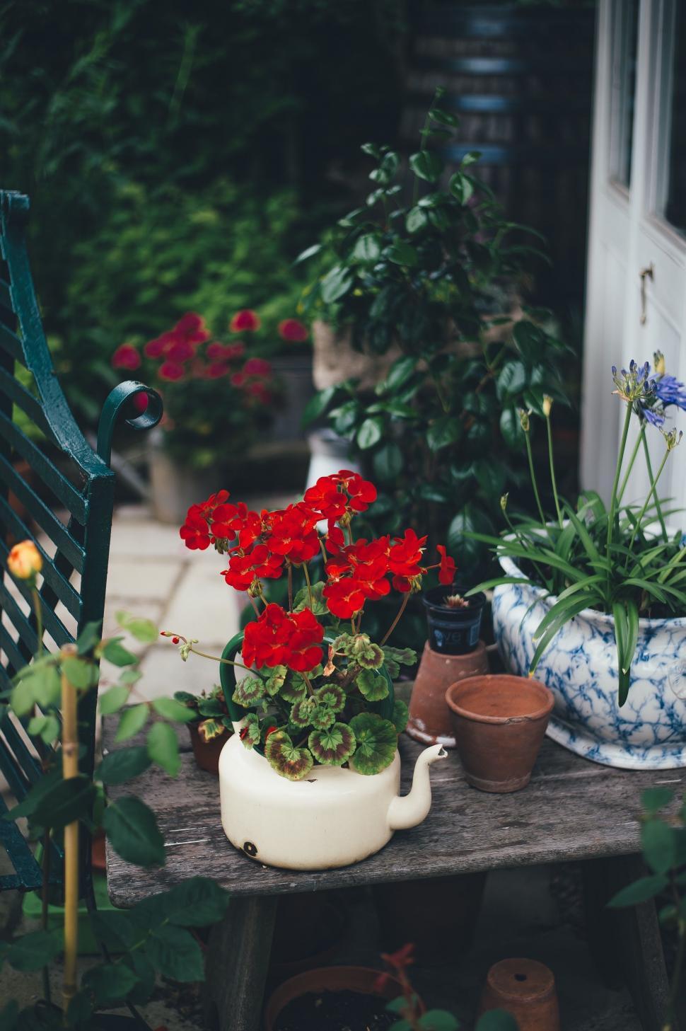 Free Image of Bench With Flowers 