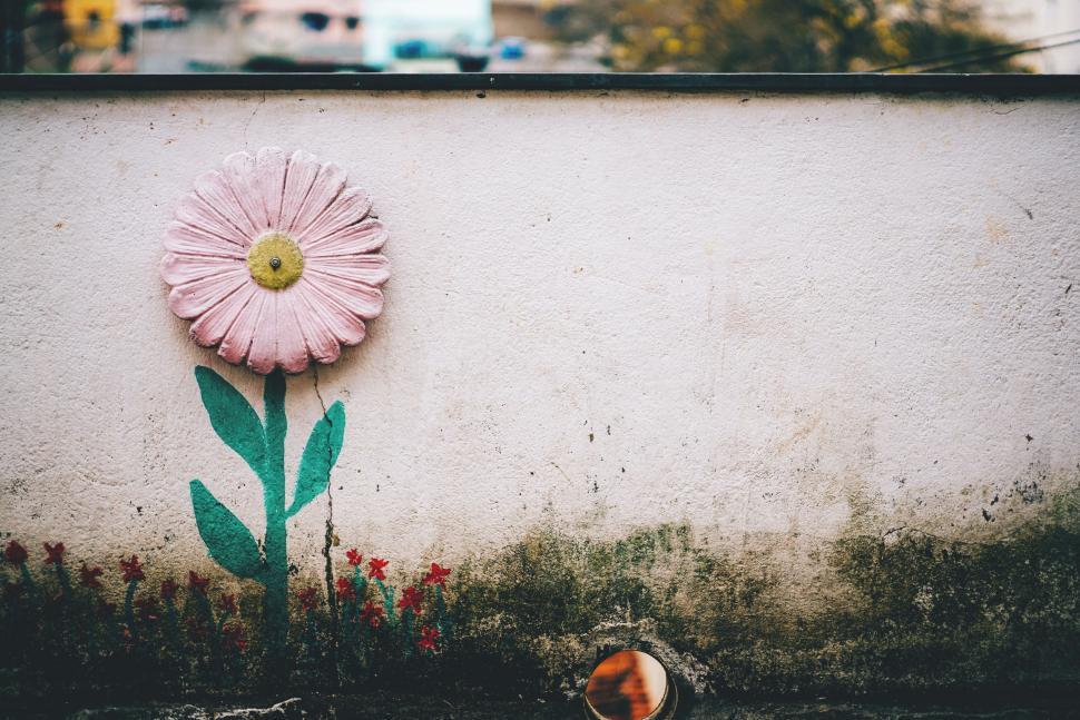 Free Image of Flower Painting on Building 