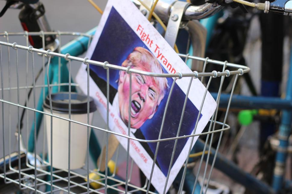 Free Image of Womans Face in Basket on Bicycle 