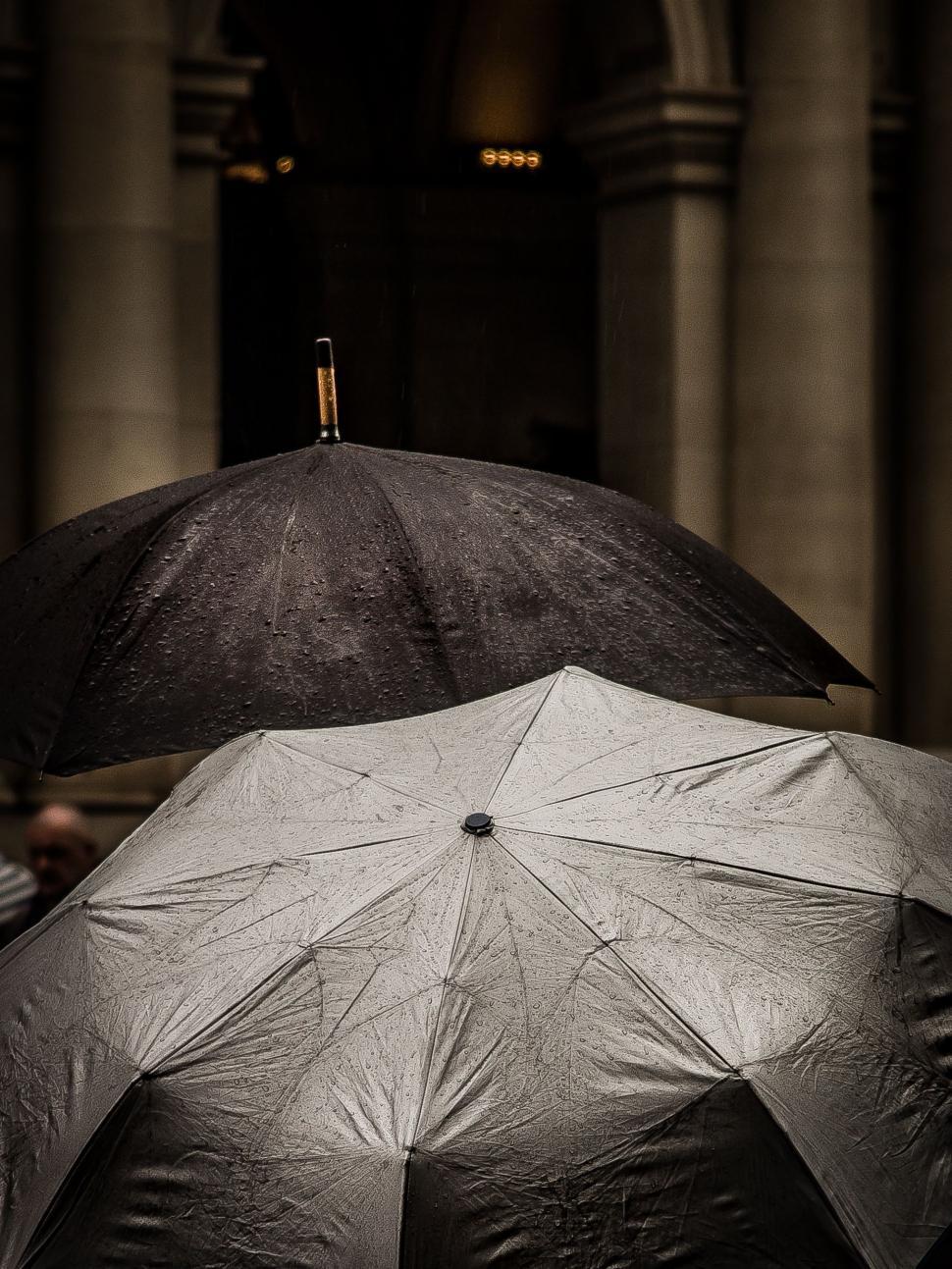 Free Image of Person Holding Umbrella in Black and White 