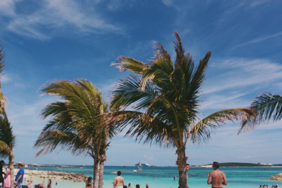 Free Image of Group of People Standing on Top of Sandy Beach 