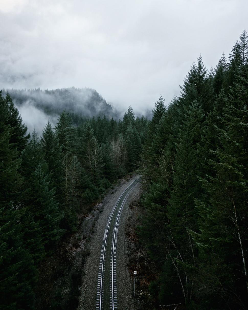 Free Image of Train Track Surrounded by Trees 