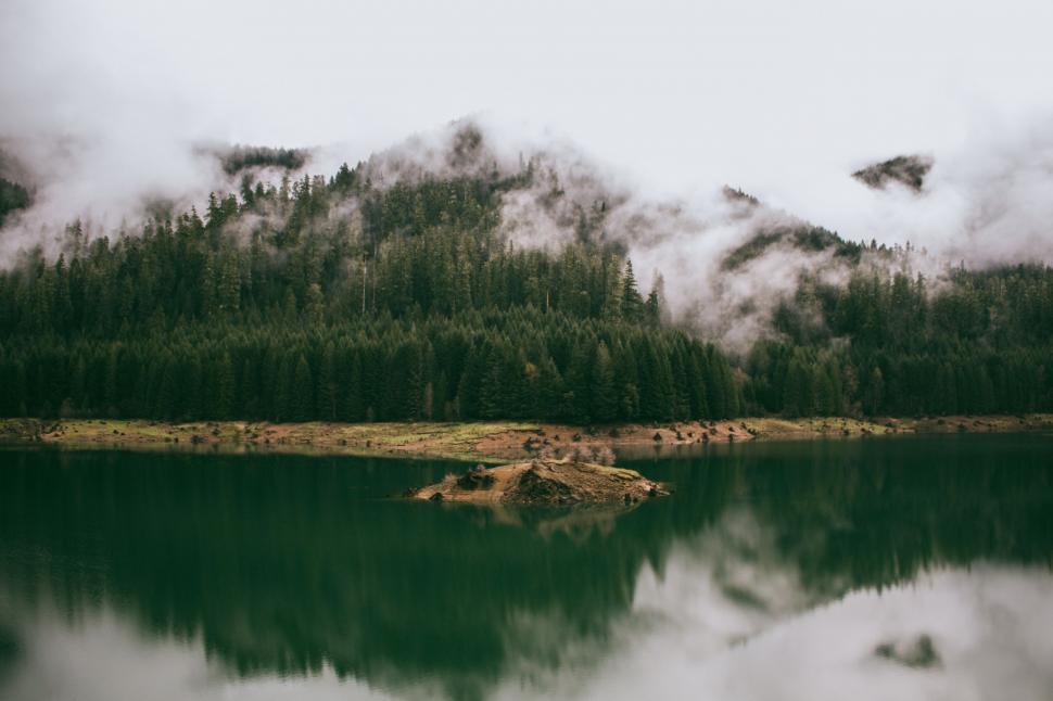 Free Image of Dense Forest Encircling Pristine Lake 