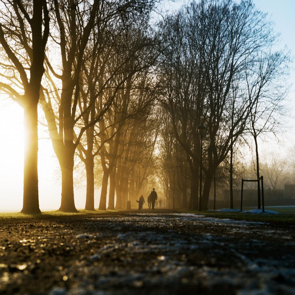 Free Image of Two People Walking Down a Path in a Park 