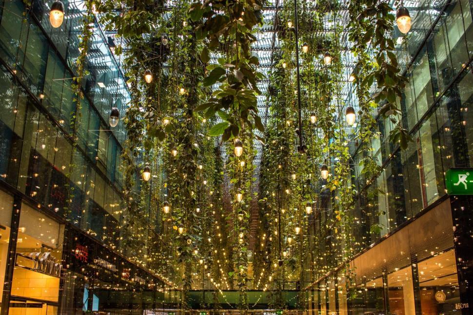 Free Image of Building Illuminated by Numerous Hanging Lights 