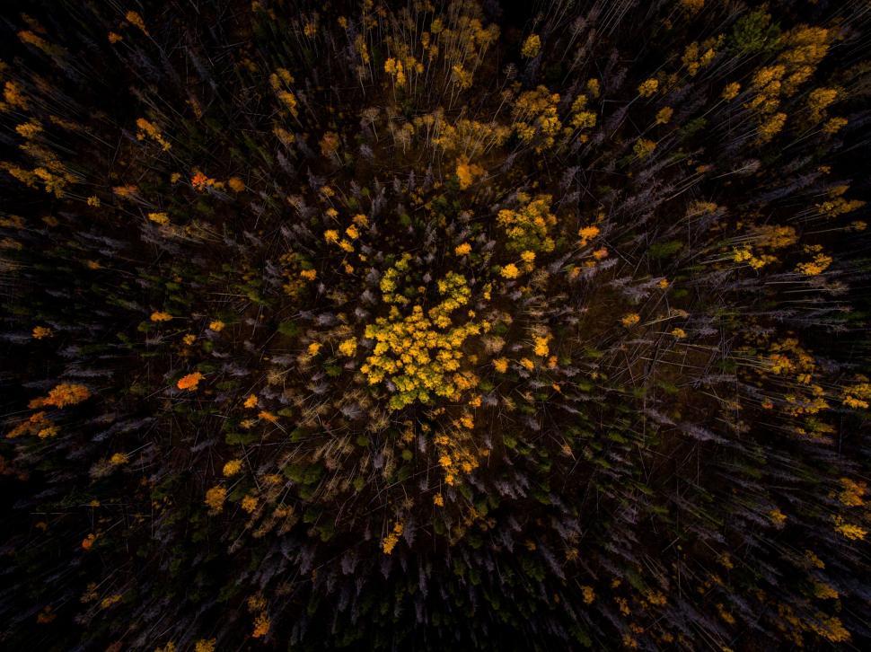 Free Image of Black and Yellow Background With Yellow Dots 